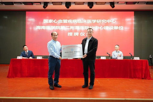 海南省卫生厅，引领健康海南，打造绿色医疗新篇章