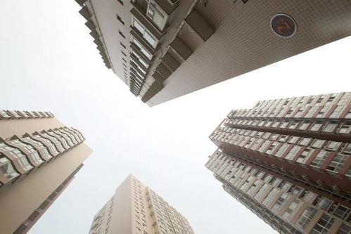 配售型保障房，实现住房公平的桥梁