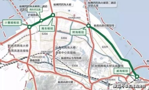 宁波公安交通网，城市交通的守护神