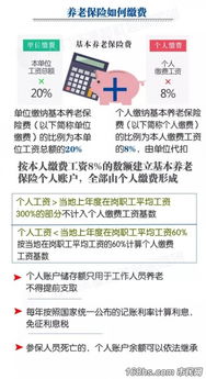 事业单位社保全解析：轻松搞懂缴费、待遇与改革趋势，告别社保困惑