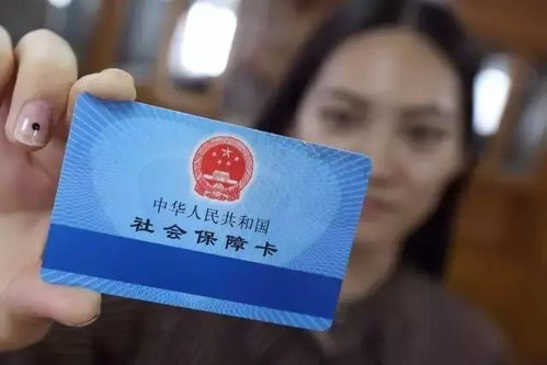 安徽省劳动保障厅：一站式解决劳动社保难题，轻松维权就业无忧