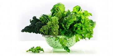 《绿色食品管理办法》权威解读：轻松识别真正绿色食品，避免花冤枉钱