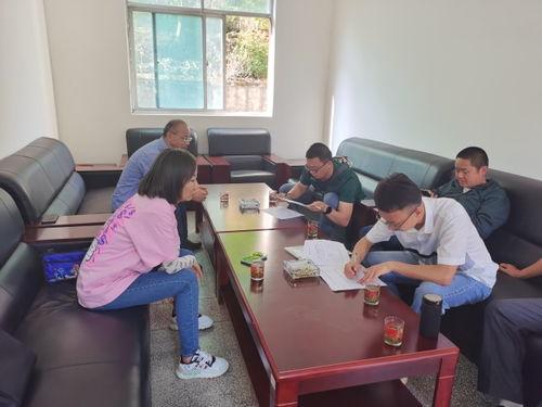 稽查工作规程：从准备到执行的全流程操作指南，让稽查工作有章可循、高效无忧