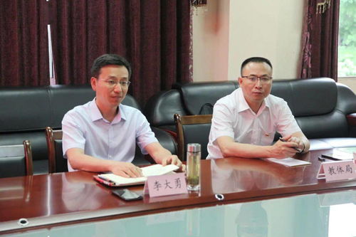 稽查工作规程：从准备到执行的全流程操作指南，让稽查工作有章可循、高效无忧