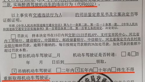 酒后驾驶处罚详解：避免罚款扣证与刑事风险，安全驾驶更便捷