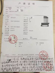 流动人口婚育证明样本：快速掌握填写技巧，轻松办理城市通行证