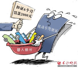 驾驶证年审全攻略：轻松办理避免罚款，合法驾驶更安心