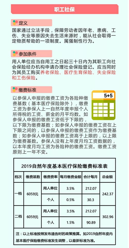 养老保险和社保有什么区别？一文读懂两者差异，帮你轻松规划养老保障