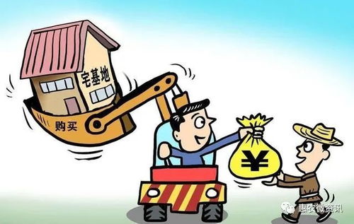宅基地补偿全攻略：轻松掌握政策要点，避免补偿纠纷，保障农民权益