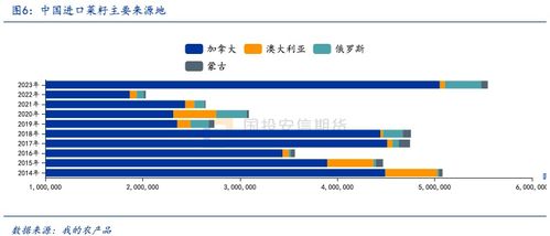 美国反倾销调查全流程解析：企业如何规避风险与应对策略