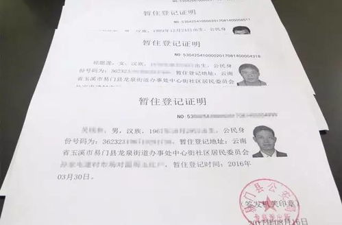 未婚证明格式全攻略：轻松掌握官方标准，避免办理麻烦