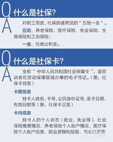 社保有什么用？全面解析五大险种，让你享受养老、医疗、失业等全方位保障，生活更安心