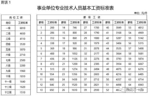 事业单位绩效工资全解析：从计算到改革，助你轻松拿高薪