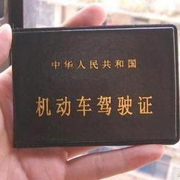 遗失证明范文怎么写？5分钟学会快速搞定各类证件补办，避免麻烦