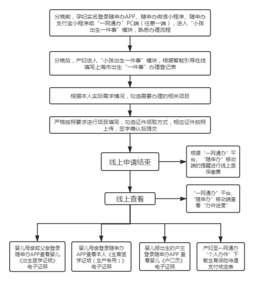 单独二胎办理流程全攻略：轻松搞定材料与审批，快速迎接新生命
