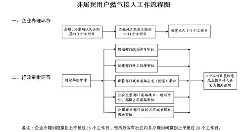单独二胎办理流程全攻略：轻松搞定材料与审批，快速迎接新生命