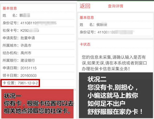 查户口所在地全攻略：线上+线下轻松查询，解决子女入学、社保办理难题